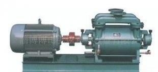 SK-6型水環(huán)式真空泵 高效可靠的工業(yè)真空解決方案