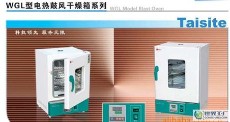 出口型鼓風(fēng)干燥箱、WGL-30B烘箱、精密恒溫干燥箱_鼓風(fēng)干燥箱 _世界工廠網(wǎng)
